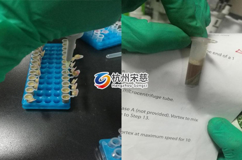 <a href=http://www.govzf.cn/prouduct/lengdong/ target=_blank class=infotextkey>冷凍研磨儀</a>